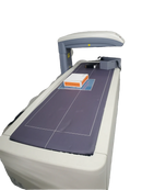 GE Lunar Prodigy 2013 Bone Densitometer Series X BX-1L
