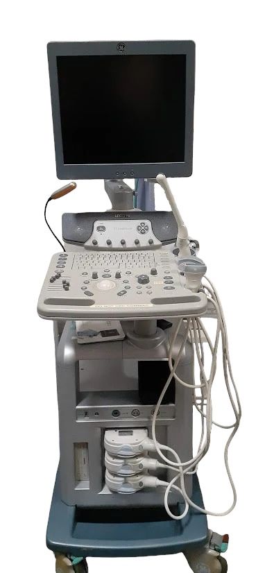 GE Logiq P6 Ultrasound System with Transducers